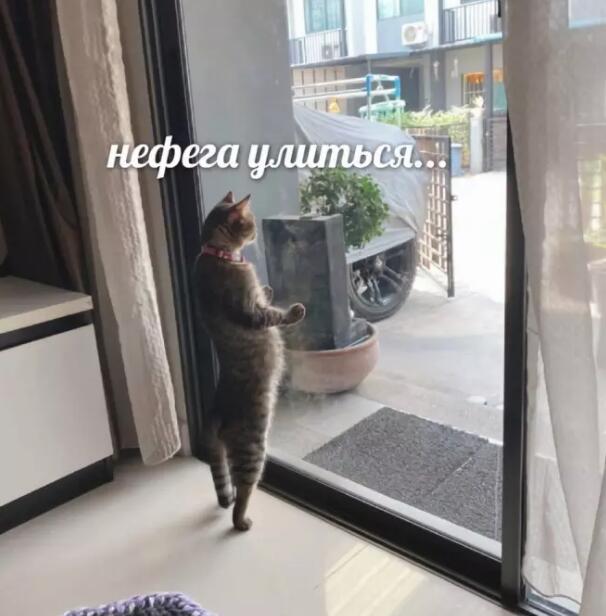 Мем от а