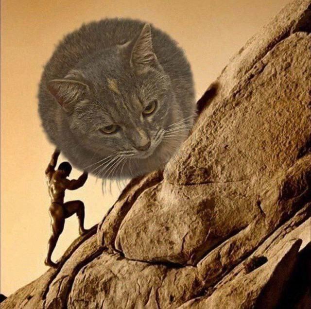 К О о т
