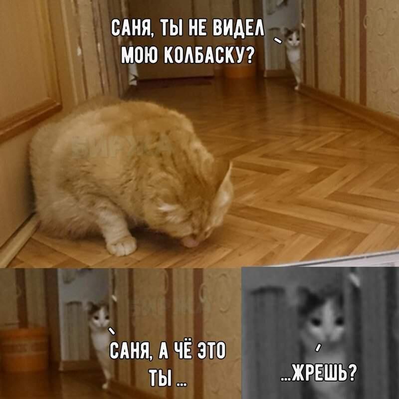 Мем от Nen_keti228