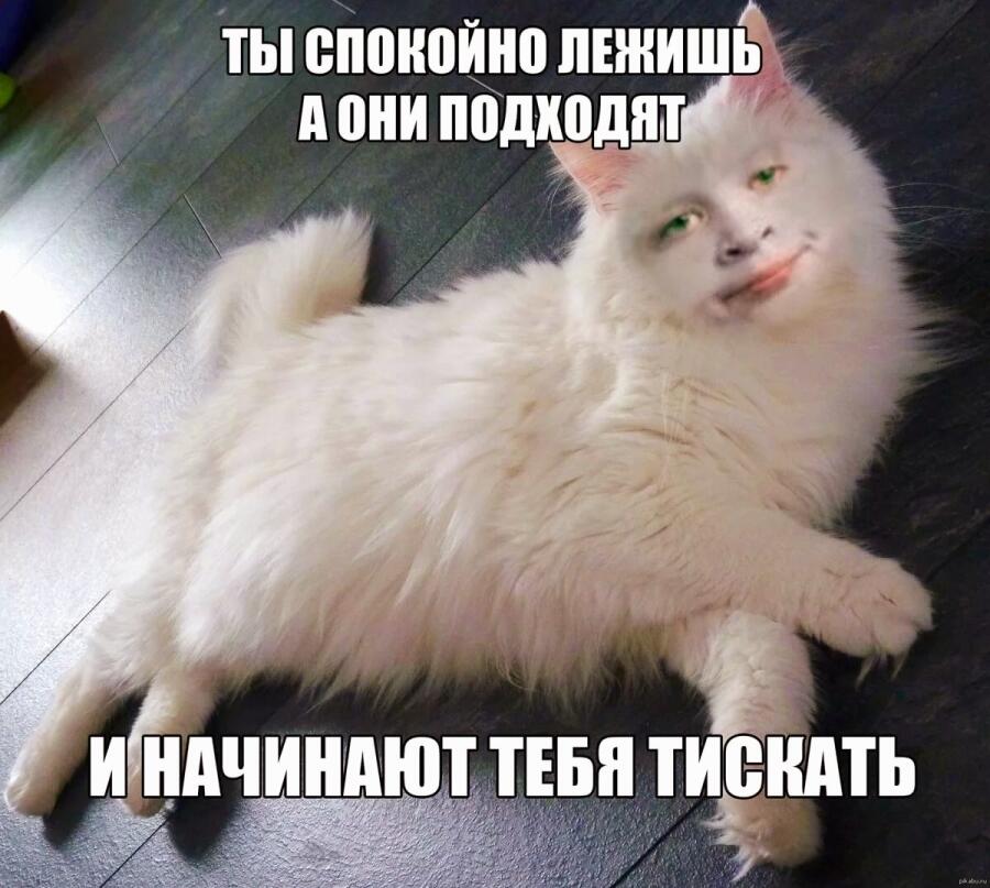 Мем от Nen_keti228