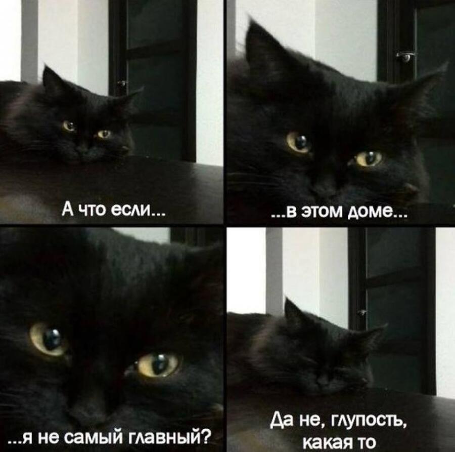 Мем от Nen_keti228