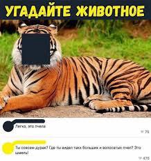 Мем от Пепверрп