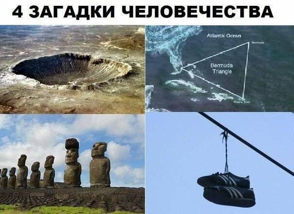 Что они там делают, зачем?...
