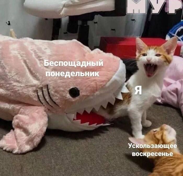 Уже скоро