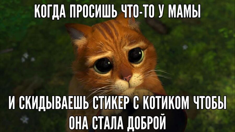 Тут должен быть текст