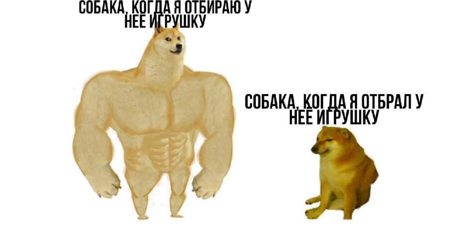 Мем от Dimastpx