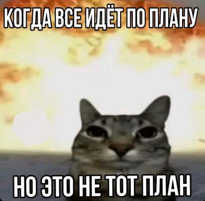 Мем без подписи