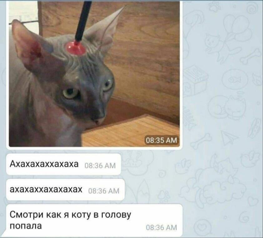 Мем от Piggy
