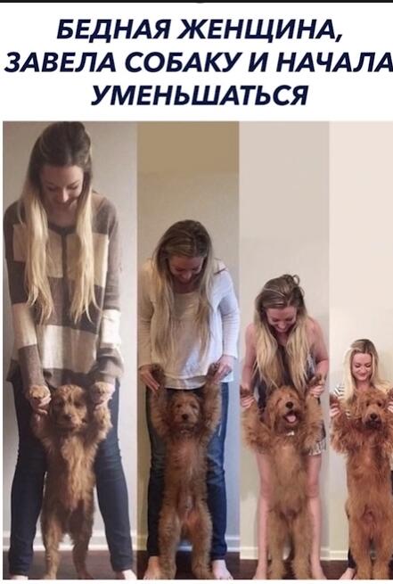 Мем от Piggy