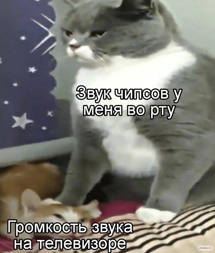 Мем без подписи