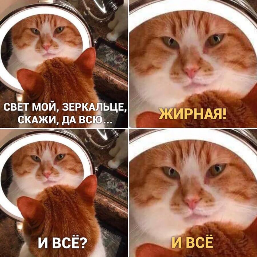Мем без подписи