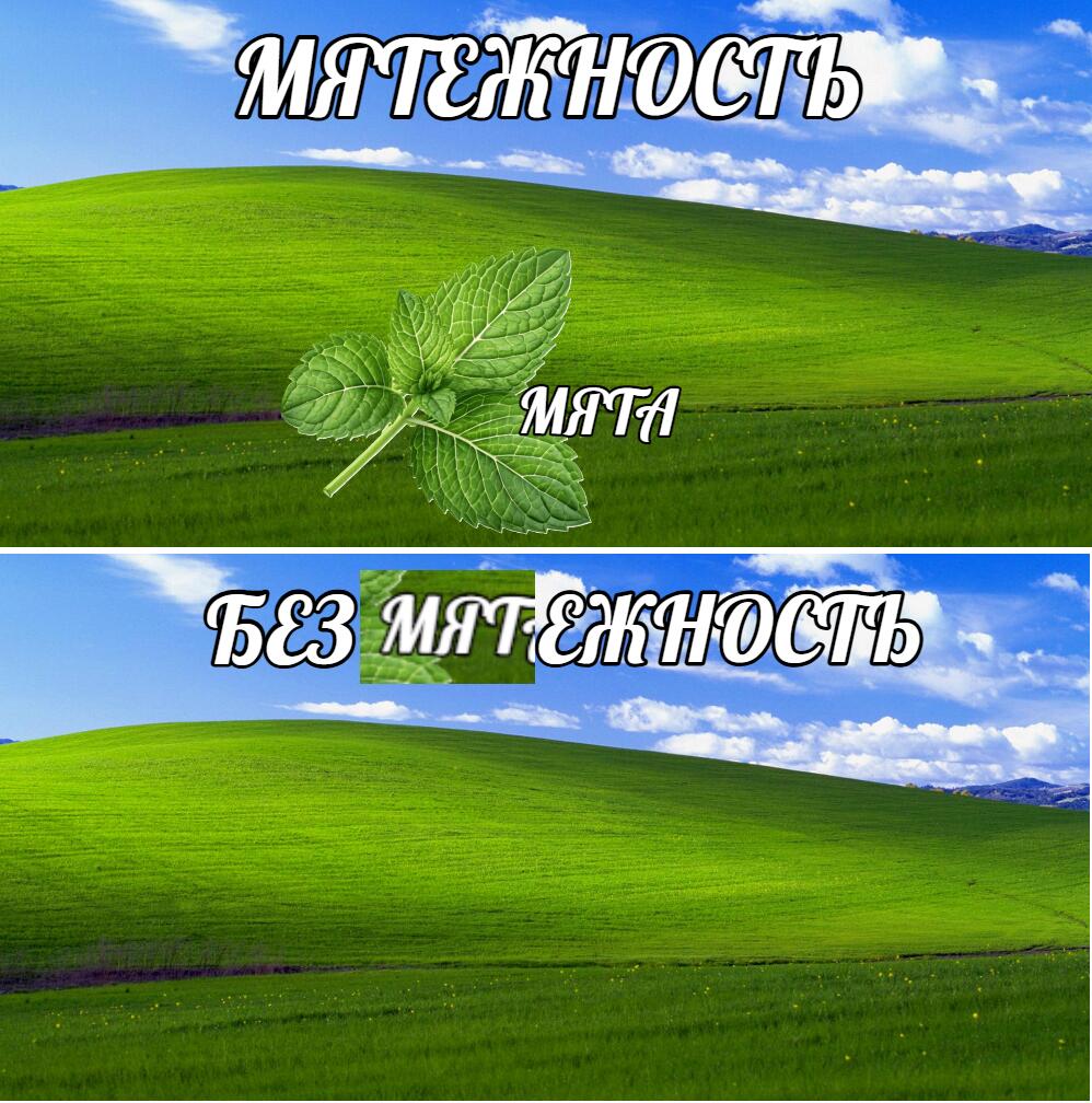Мем с фоном из обоев Windows XP: на первом кадре лист мяты и надпись мятежность мяты, на втором кадре мята удалена и надпись без мятежности