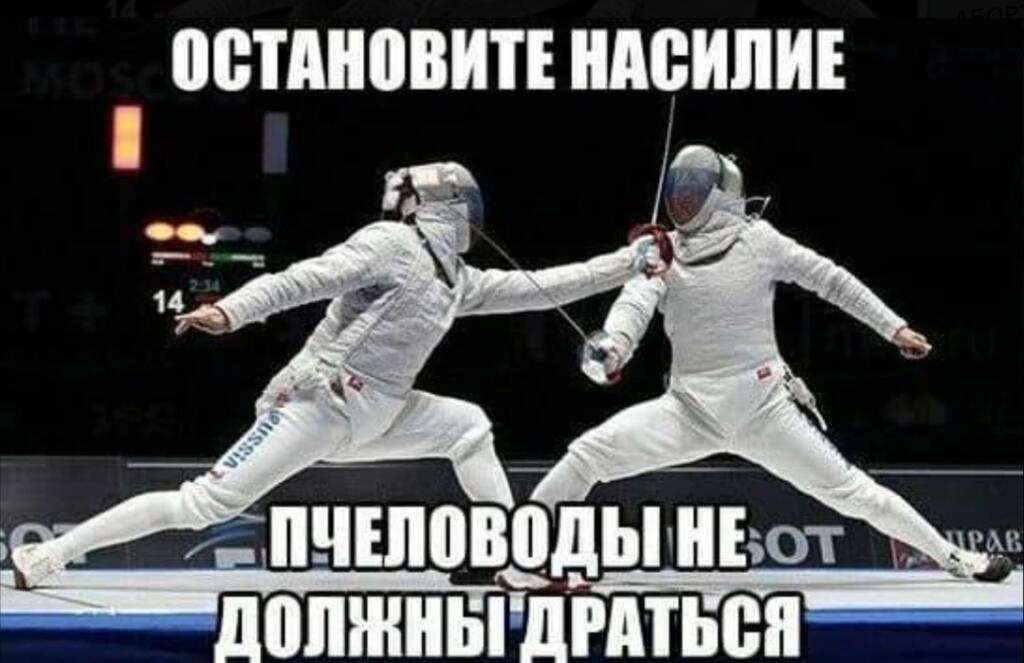 Два спортсмена фехтуют на ринге, надпись Остановите насилие, пчеловоды не должны драться