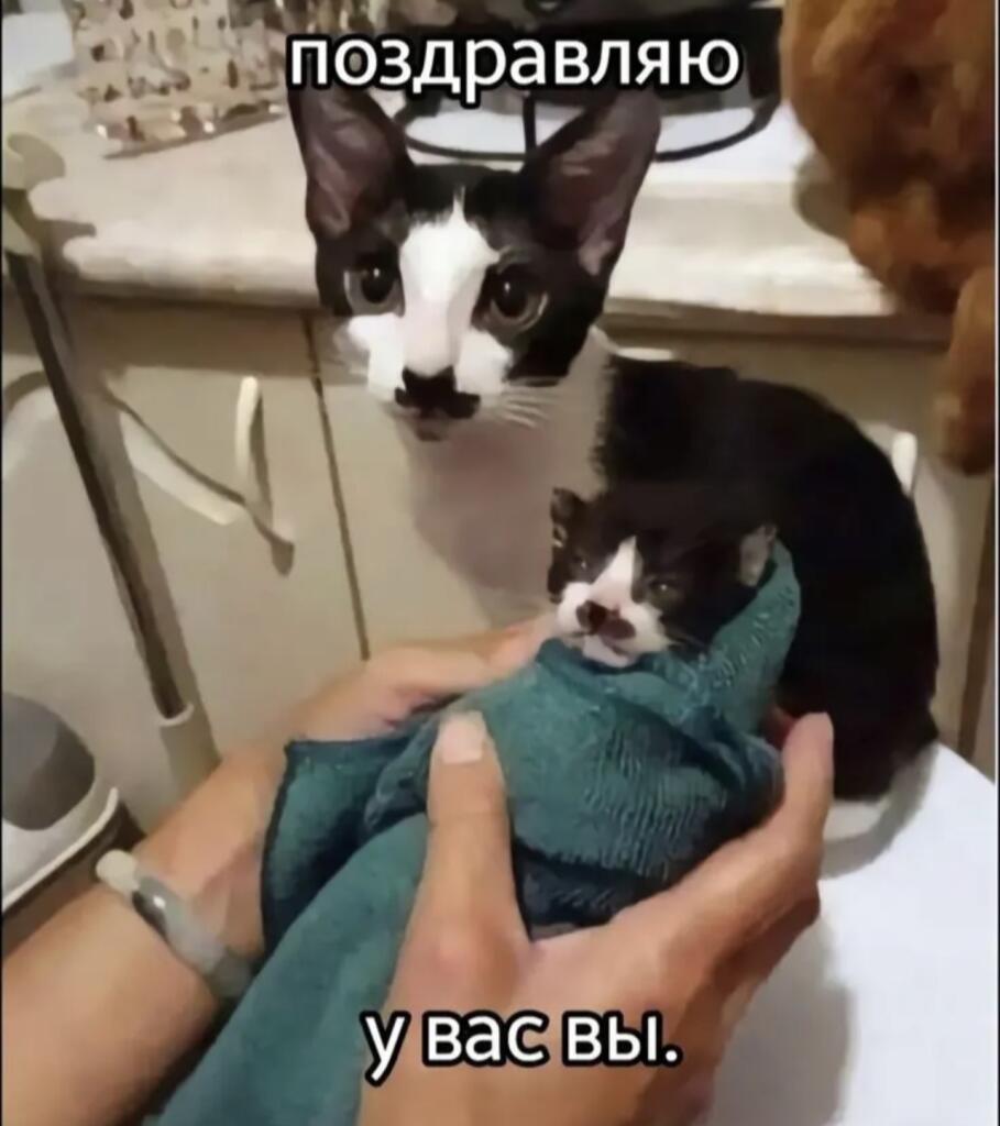 ...
