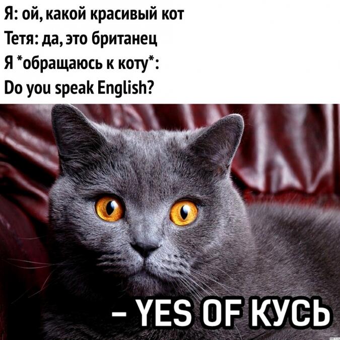так кусь на аглийском