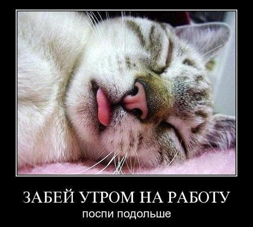 за кучу мяса :3