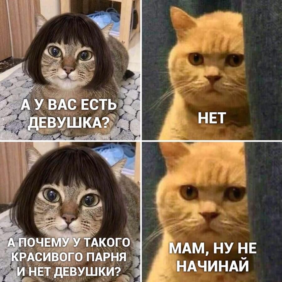Мем без подписи
