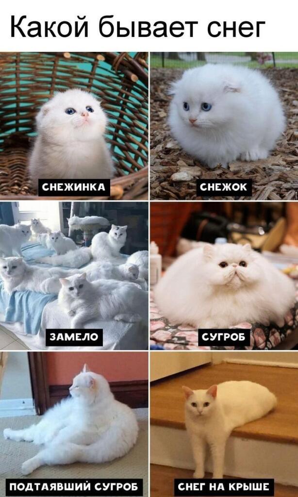 Мем от Ироник{ПЛМ}