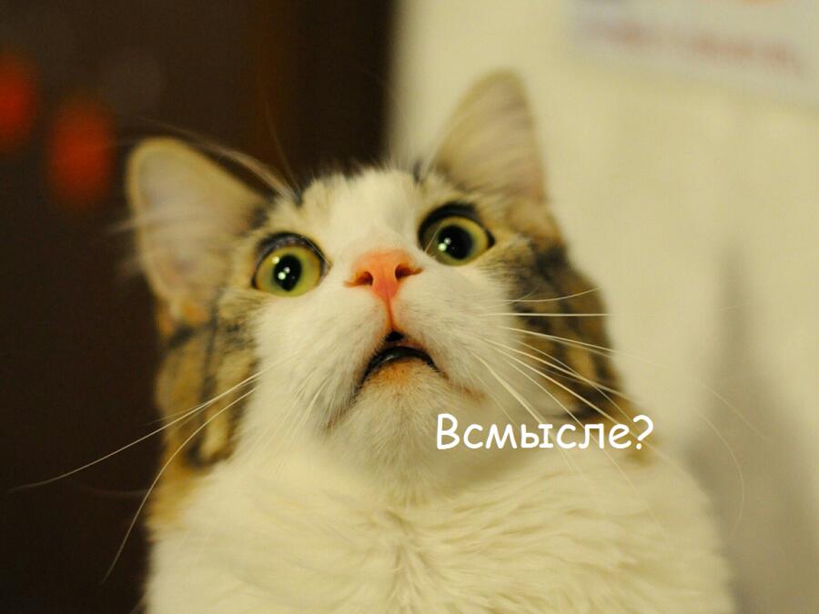 Когда подруга сказала что твоя любимая игра очень плохая: