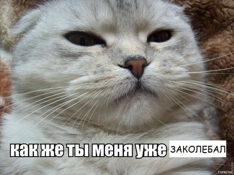 Когда тебе задают миллион вопросов и ты не успеваешь отвечать: