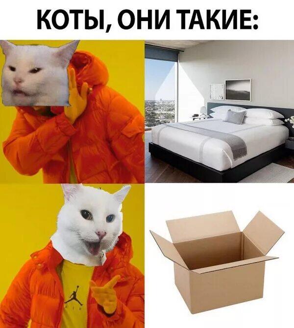 Хахах жиза