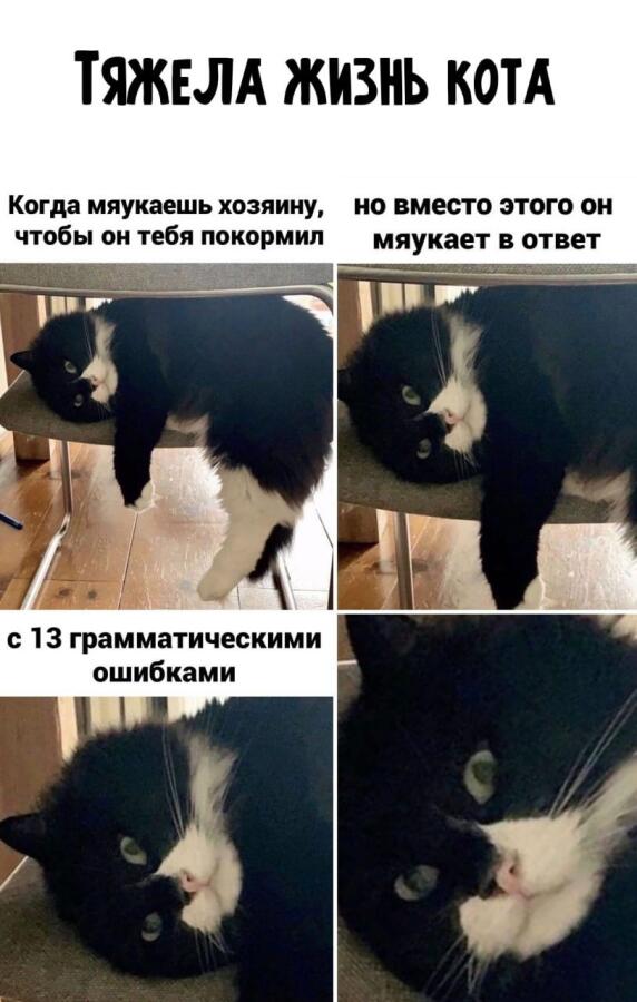 Мем от EgorBelCom