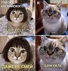 Очень жизнено