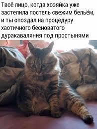 Мем от EgorBelCom