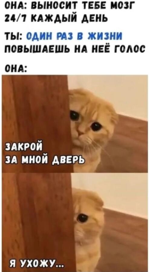 Мем без подписи