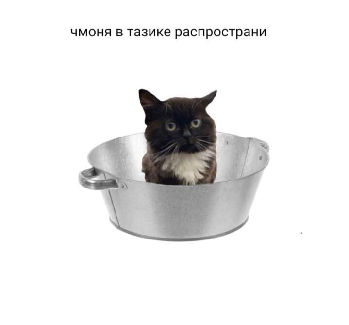 Распространите пожалуйста