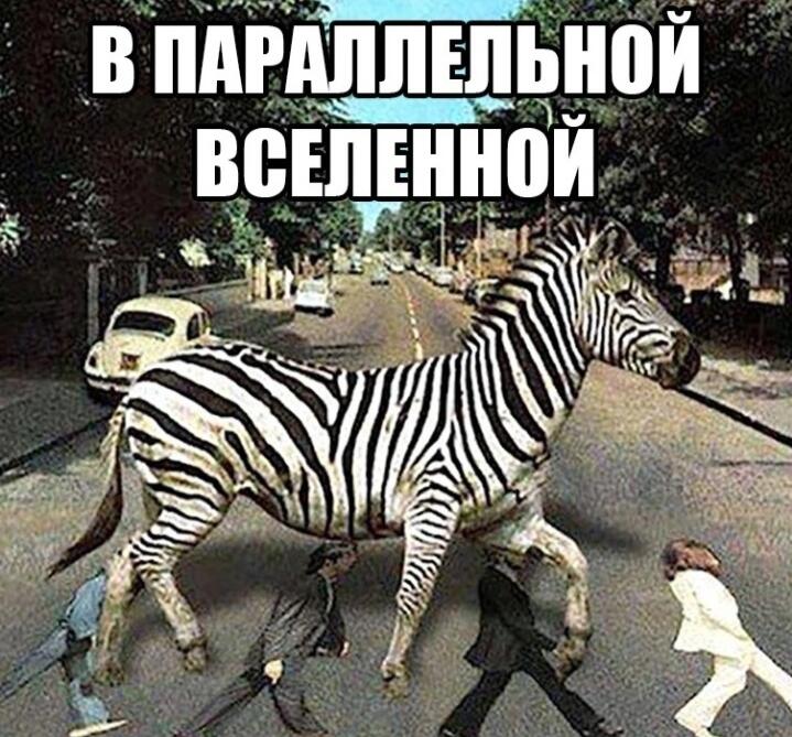Мем без подписи