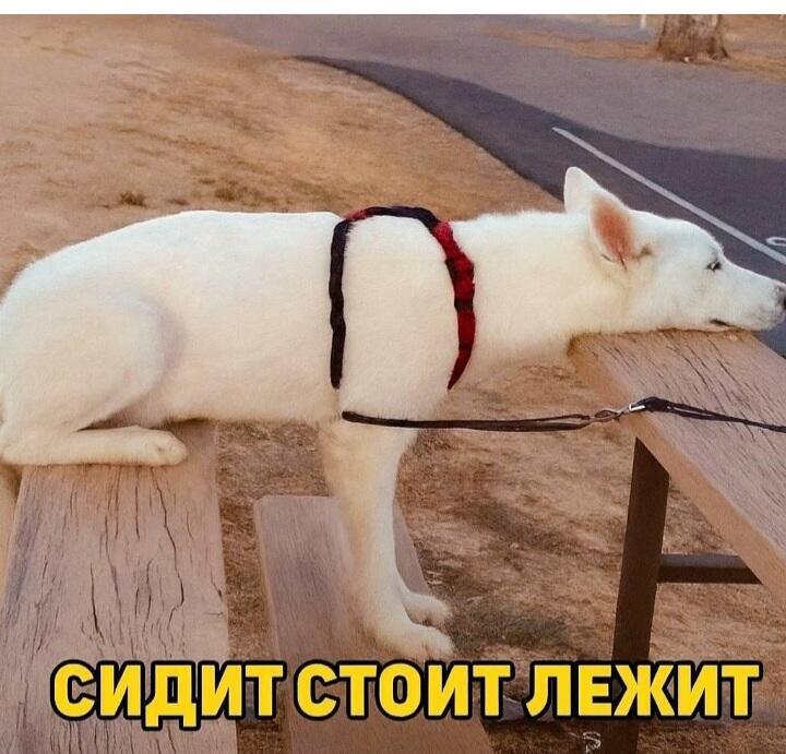 кофе помогает от альцгеймера
кофе помогает от альцгеймера
кофе помогает от альцгеймера
кофе помогает от альцгеймера
кофе