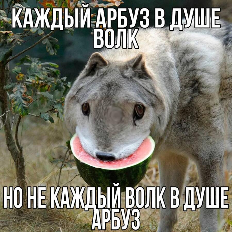 Мем от almazik