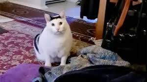 Я: "достаю твикс" 
Младший брат который это увидел: "а мне дай 2 палочку"