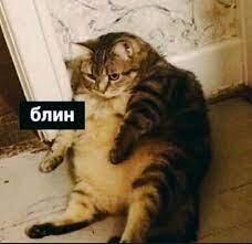 Я: "просыпаюсь" 
на часах: 6:01 
Я: ещё успею 
Я: "закрываю глаза" 
На часах: 6:57 
Я: