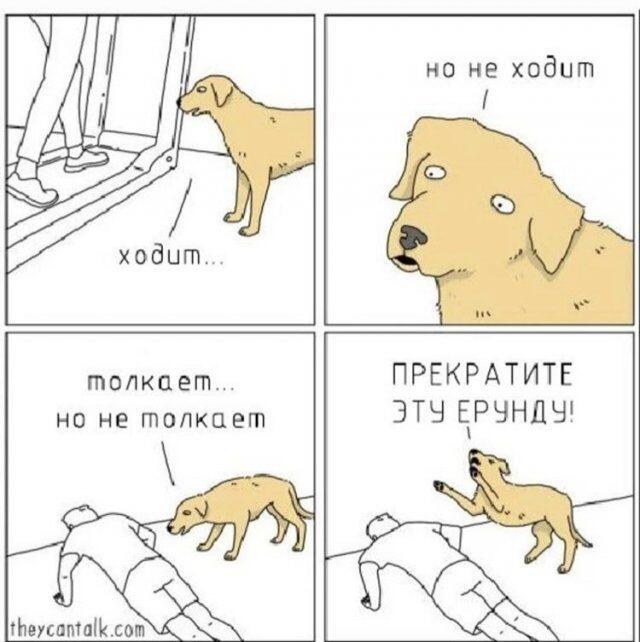 Мем без подписи