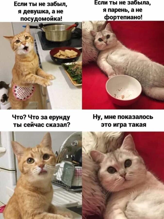 Мем от 🍩Котерия😺