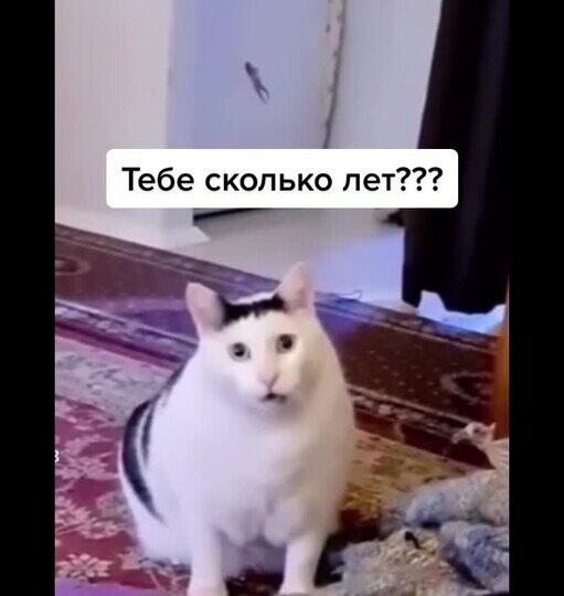 Мем без подписи
