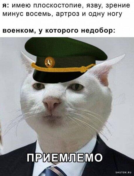 Мем от Бред