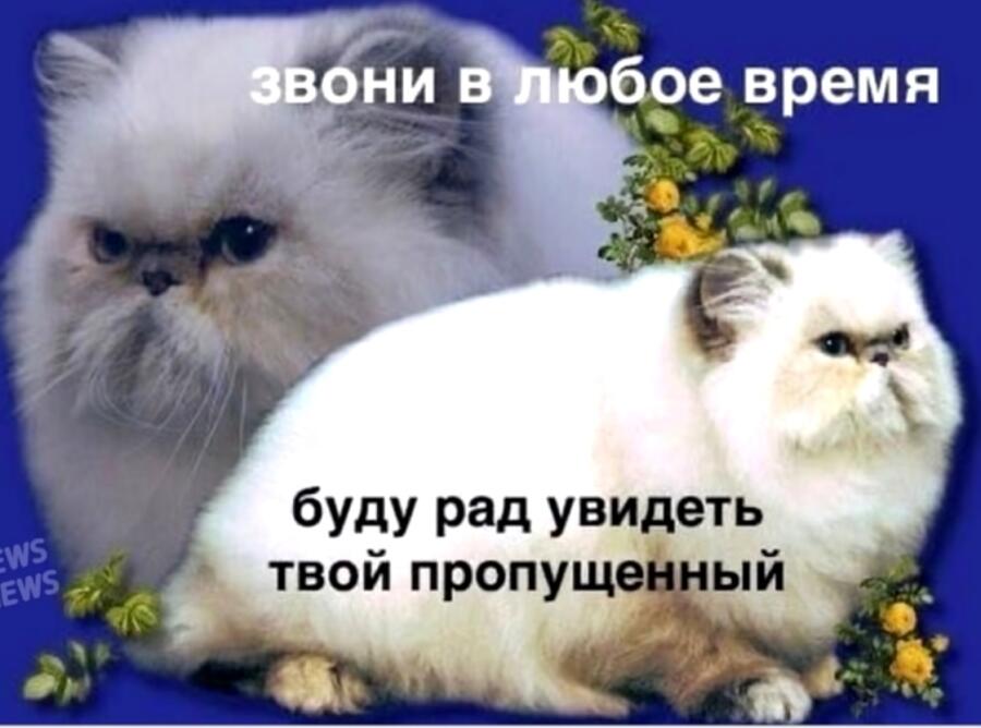 Мем от Kei_z