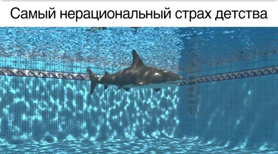 Вы тоже боялись акул в бассейне?