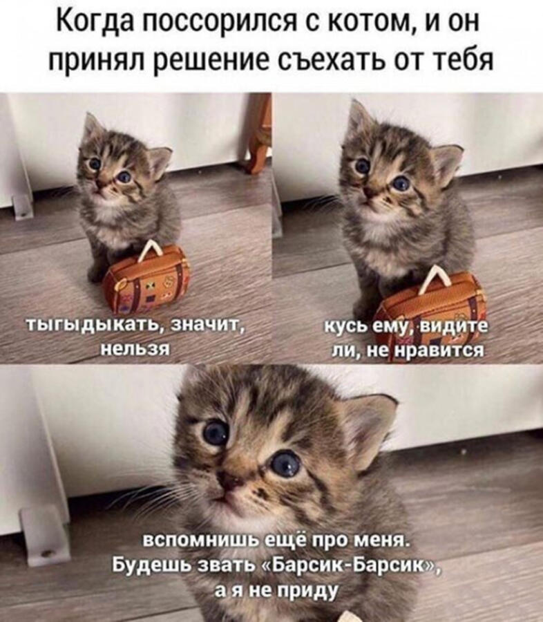 Мем от Пейчел Гарден