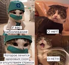 Мем от Пейчел Гарден