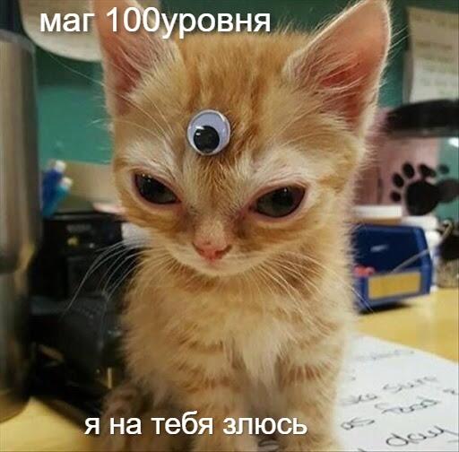 не зли мага