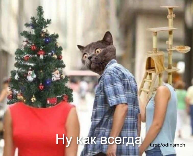 Место елки сдесь должна  быть коропка