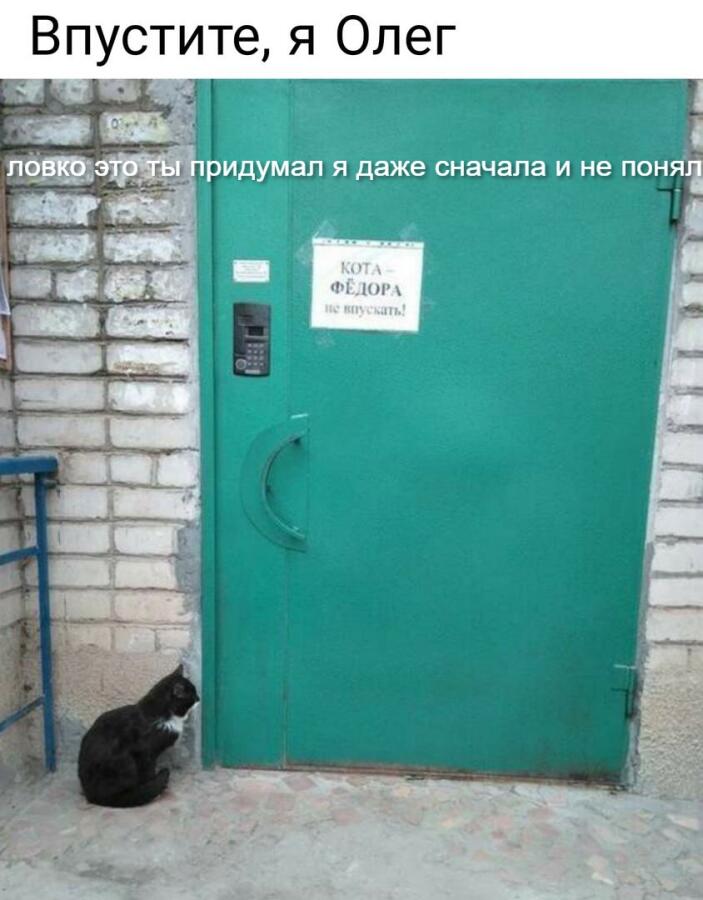 Мем от tok