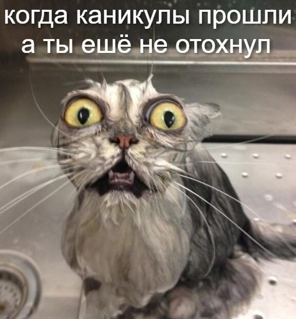 о нет!!!