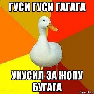 Когда завел гуся