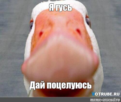 Мем от Pasak дождался лета