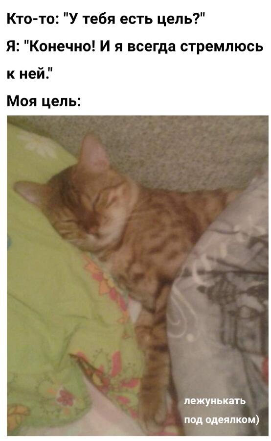 Мем от misfortune official